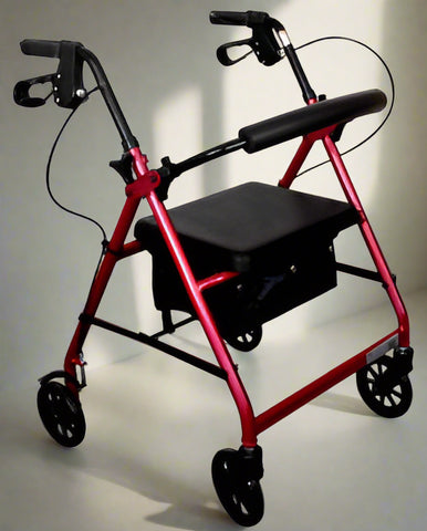 RollaStride Rollator (8198324781293)