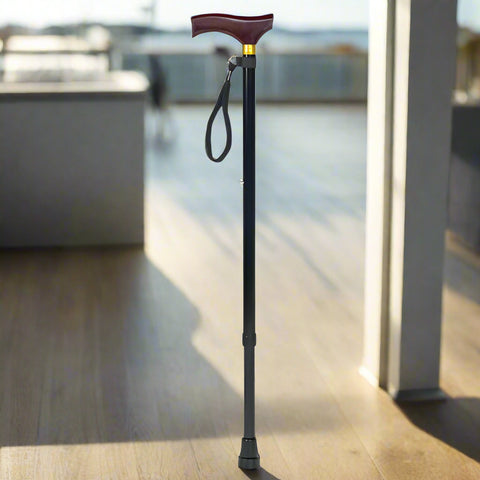 Extendable Walking Stick (7598052933869)