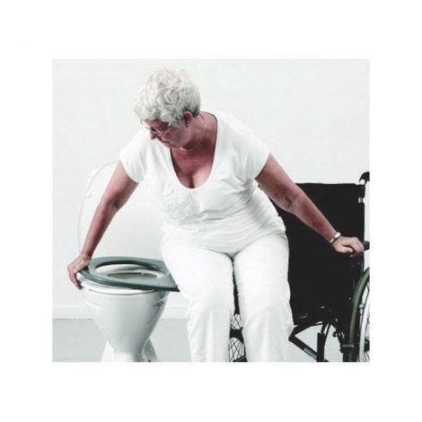 Dolphin Toilet Transfer Board (6161456267432)