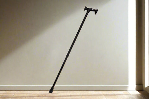 Ausnew Home Care Disability Services Economic Walking Stick |  mount druitt, rooty hill, blacktown, penrith (6160435183784)
