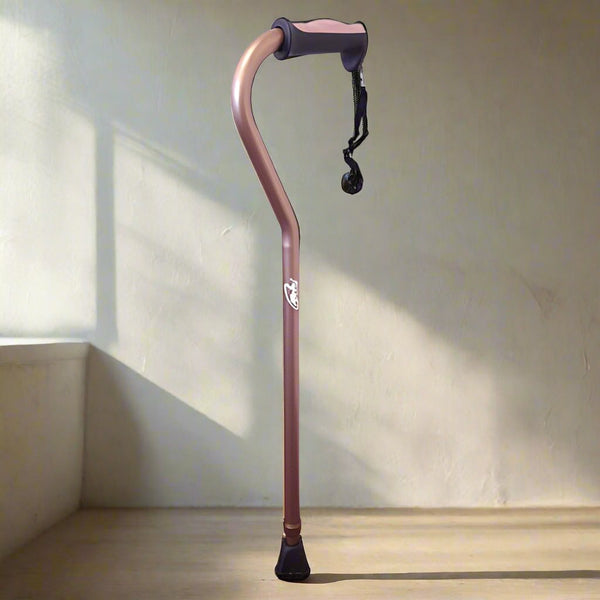 Ausnew Home Care Disability Services Walking Cane Swan Neck Stable Ferrule | mount druitt, rooty hill, blacktown, penrith (5790524113064)