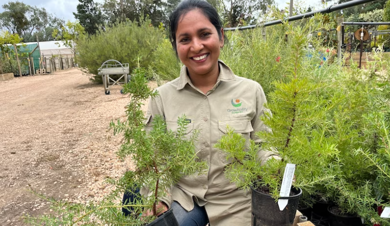 Mildura nursery returns to home base after summer floods, moves thousands of plants back