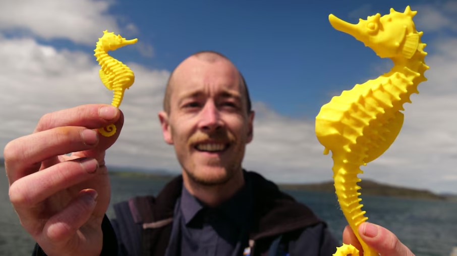 New 3D-printed aids mimic the feel of real seahorses for Seahorse World visitors with low vision