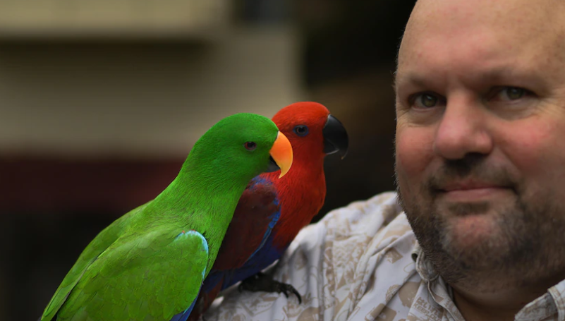 The Dreamworld tragedy almost cost Michael his life, now he is saving others one bird at a time