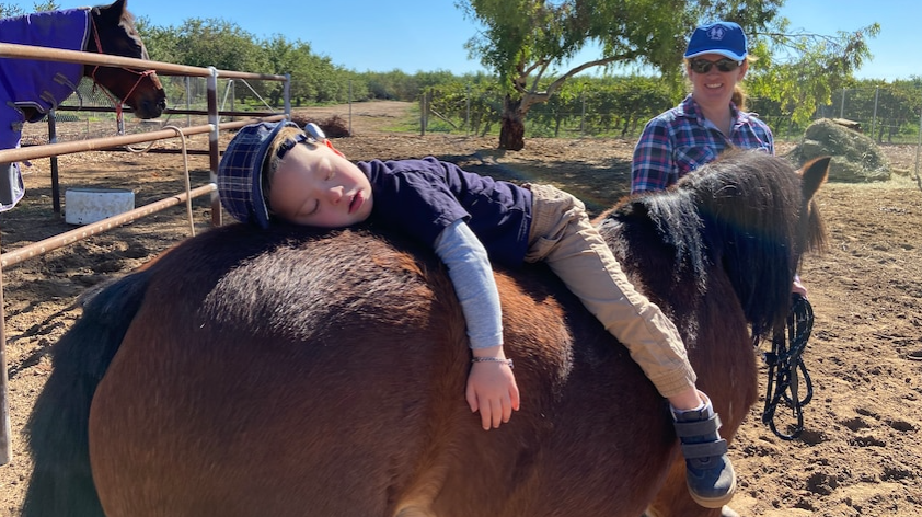 Demand for animal-assisted services grows, with pony time helping Owen relax, use sign language, slow down