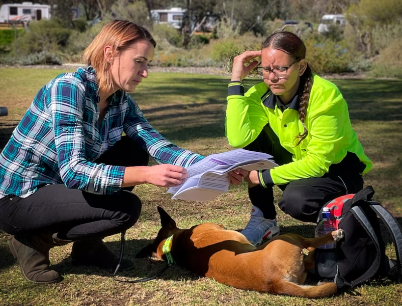 Legal Aid WA launches new service for people with disabilities following royal commission