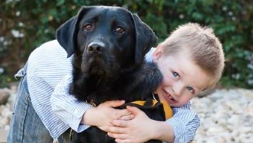 Autism assistance dog Winter retires after a decade opening a world of opportunity for James