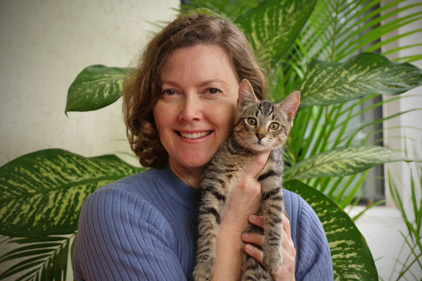 Rescue cats inspire mental health author to create tool for navigating change