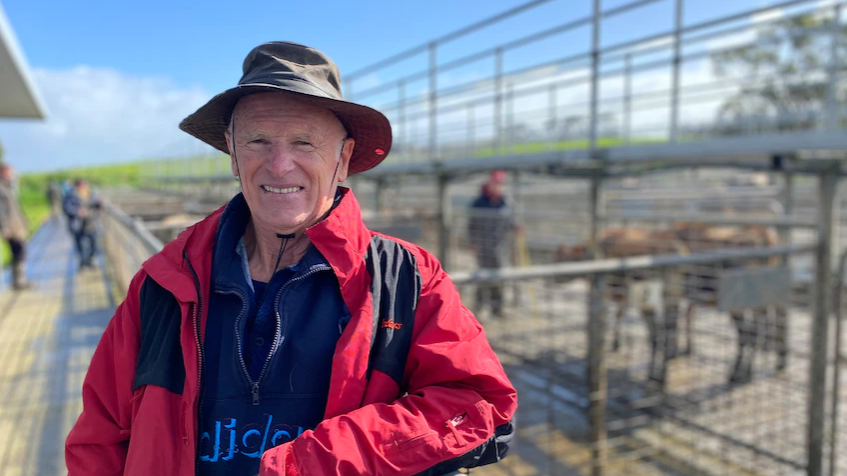 Saleyards scene of traditions that help farmers care for their mental health