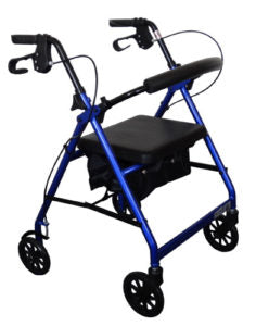 RollaStride Rollator (8198324781293)