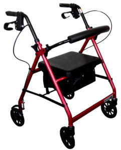 RollaStride Rollator (8198324781293)