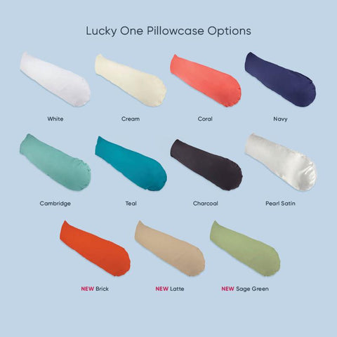 Lucky One Pillow - SLIP ONLY
