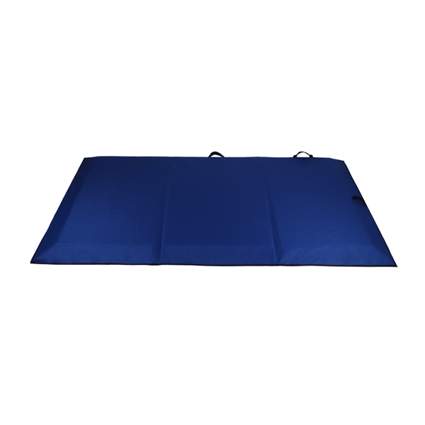 Ausnew Home Care Disability Services Bevelled Edge Bedside Safety Crash Mat | NDIS Approved, mount druitt, rooty hill, blacktown, penrith (6164895039656)